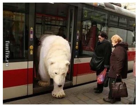 Слава Богу,добрался!