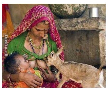 Добрая кормилица