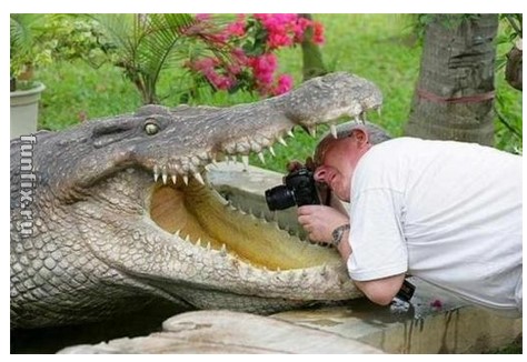 Попасть в пасть